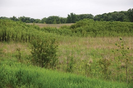 The Wo Wacintanka State Wildlife Area is a mix of prairie, oak savanna and wetlands in Newry Township in northeastern Freeborn County.