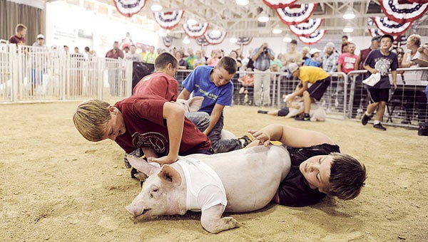 Blaine Anderson, right, holds down a pig, while Riley Schultz tries to get a shirt on it during a pig-dressing contest Friday at the Mower County Fair.