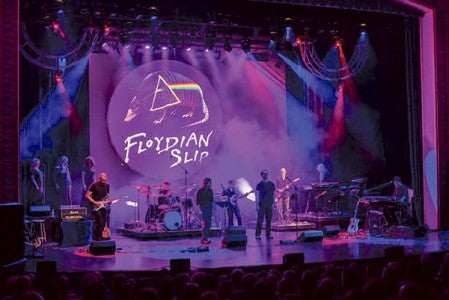 The Fabulous Armadillos performing Floydian Slip. Photo provided