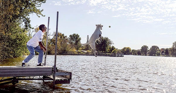 Bob Mallory watches as Billy Jack leaps off the dock at East Side Lake after a tennis ball Tuesday afternoon. Eric Johnson/photodesk@austindailyherald.com