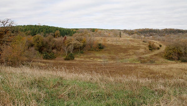 This land along Highway 52 near Preston will be the site of a new, 169-acre state veterans cemetery. A groundbreaking ceremony will be held Nov. 8. -- Photo provided