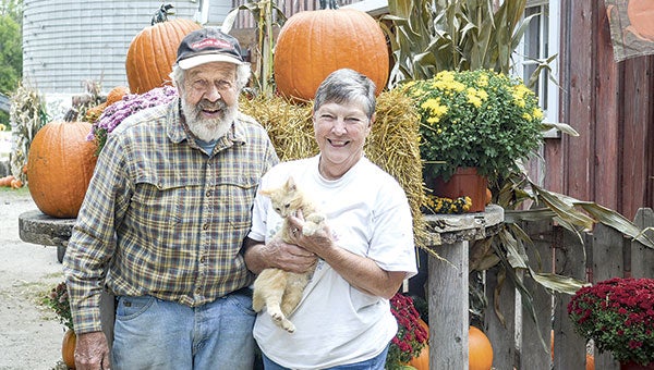 Pumpkins, memories and kitties – Years of smiles and experiences follow ...