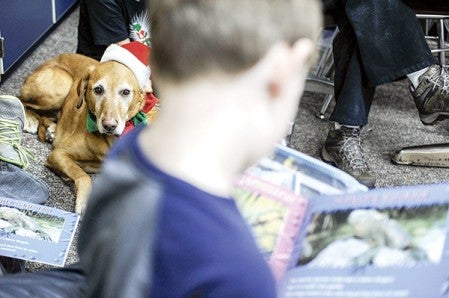 Penny, a therapy dog belonging to Jan Haycraft from Owatonna, watches Zachariah Rooney, a Southgate Elementary third-grader, read Friday morning. Penny and Jan make one trip a month to the school, to help listen to the students read. Eric Johnson/photodesk@austindailyherald.com