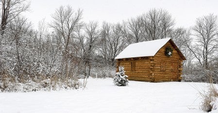 The cabin at the Jay C.Hormel Nature Center and surrounding trees are coated with snow following the system that came through the area Friday night.   Eric Johnson/photodesk@austindailyherald.com