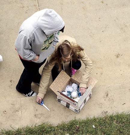 Amy Stoulil opens her box to check if her egg survived the drop from the roof of Austin High School Friday morning as part of the freshman physical science class. Classmate Olivia Bernand waits for the verdict with her. Eric Johnson/photodesk@austindailyherald.com