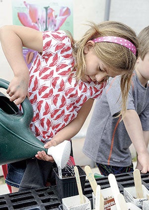 Quinn Osgood waters her seeds after planting in the Woodson Kindergarten Center’s greenhouse Thursday. 