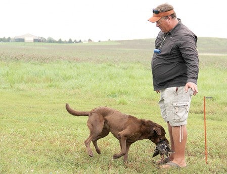 Dog trainer Ray Shanks of Georgia gives a command to Coach during master trials at Old Oak Kennel west of Blooming Prairie Saturday. Jason Schoonover/jason.schoonover@austindailyherald.com