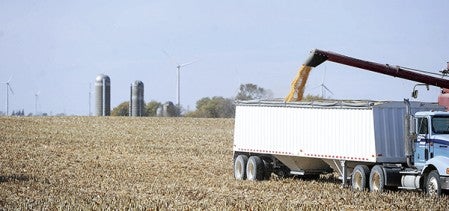 Farmers are reporting good crops throughout the area, both corn and soybeans. Eric Johnson/photodesk@austindailyherald.com