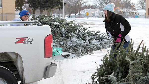 Hannah Nelson (left) and Sarah Holtz pick up Christmas trees during the annual Pacelli Christmas tree pickup in 2015. -- Photo provided