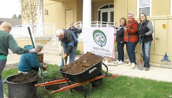 Volunteers celebrated Arbor Day by planting of six trees, three at the Hormel Historic Home, on April 29. Photo provided