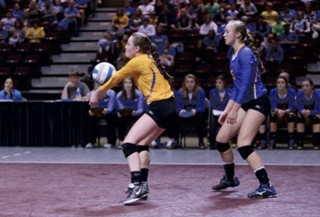 Anna Carney makes a dig for the Hayfield volleyball team against Caledonia in Mayo Civic Center in Rochester Saturday. Photo Provided by Deb Harvey