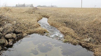 Dobbins Creek waters flow north along 610th Avenue in Red Rock Township southeast of Brownsdale. Though an estimated 94 percent of Mower County is in compliance for a buffer law passed last year, SWCD staff will be contacting those landowners about non-compliant land in the coming months along with options for how they can correct it. Herald file photo