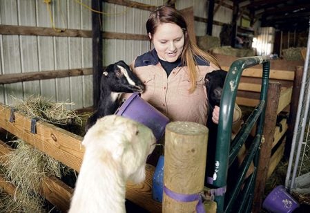 Laura Meany plays with some the goats that are raised on the family’s farm south of Rose Creek. Eric Johnson/photodesk@austindailyherald.com