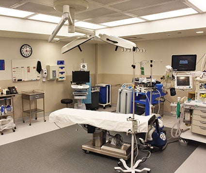 Austin’s Mayo Clinic showcases new C-Section facility - Austin Daily ...