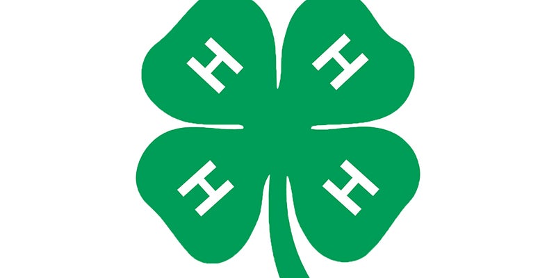 Minnesota 4-H Animal Science Youth Leadership Team selects Mower County 4-H member – Austin Daily Herald